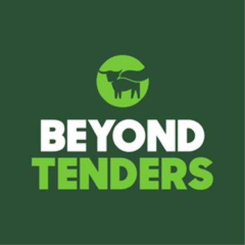 BEYOND TENDERS Logo (EUIPO, 29.11.2022)
