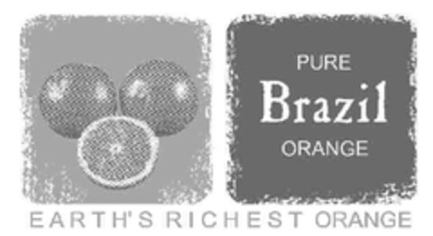 PURE Brazil ORANGE EARTH'S RICHEST ORANGE Logo (EUIPO, 01.07.2008)
