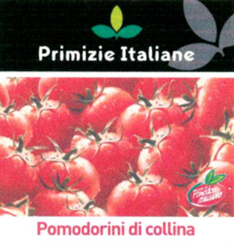 Primizie Italiane Pomodorini di collina Logo (EUIPO, 19.03.2018)