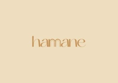 hamane Logo (EUIPO, 30.11.2023)