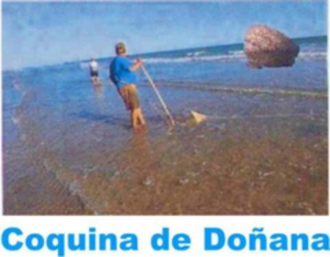 COQUINA DE DOÑANA Logo (EUIPO, 08.05.2012)