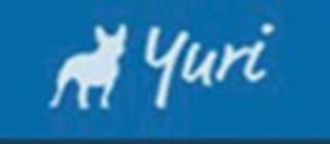 Yuri Logo (EUIPO, 04.11.2020)