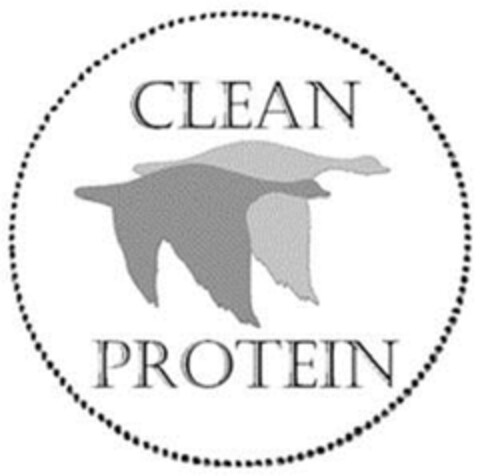 CLEAN PROTEIN Logo (EUIPO, 03.08.2012)