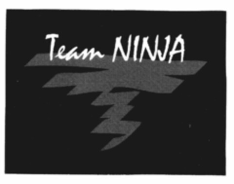 Team NINJA Logo (EUIPO, 01.06.2001)