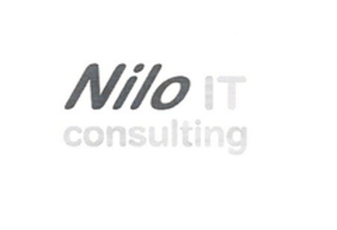 Nilo IT consulting Logo (EUIPO, 08/23/2004)