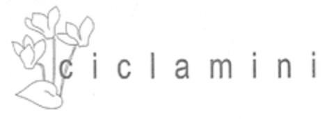 ciclamini Logo (EUIPO, 20.06.2007)