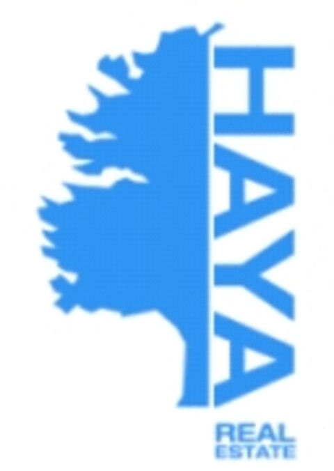 HAYA REAL ESTATE Logo (EUIPO, 09.01.2014)