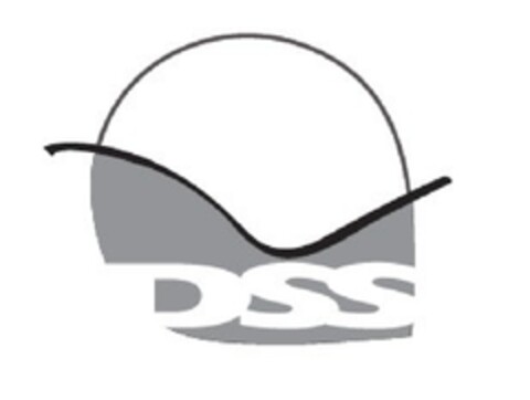 DSS Logo (EUIPO, 29.05.2009)