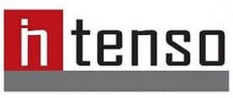 intenso Logo (EUIPO, 09.03.2015)