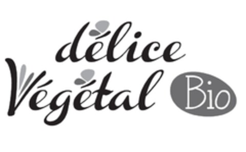 DELICE VEGETAL BIO Logo (EUIPO, 01.04.2015)