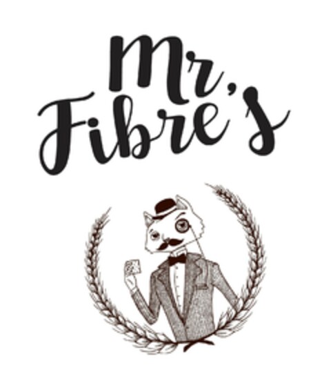 Mr. Fibre's Logo (EUIPO, 06.12.2019)