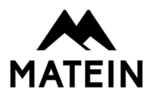 MATEIN Logo (EUIPO, 21.01.2020)