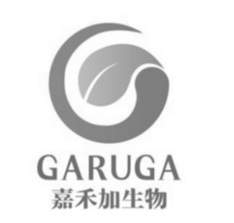 GARUGA Logo (EUIPO, 18.06.2020)