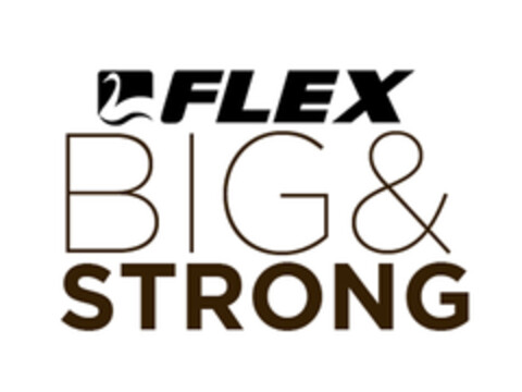 FLEX BIG & STRONG Logo (EUIPO, 10/20/2020)