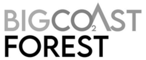 BIGCOAST FOREST Logo (EUIPO, 02/20/2023)