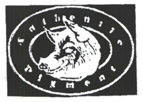 AUTHENTIC PIGMENT Logo (EUIPO, 31.10.2003)