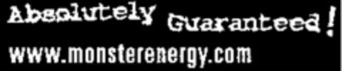 Absolutely Guaranteed! www.monsterenergy.com Logo (EUIPO, 02/11/2016)