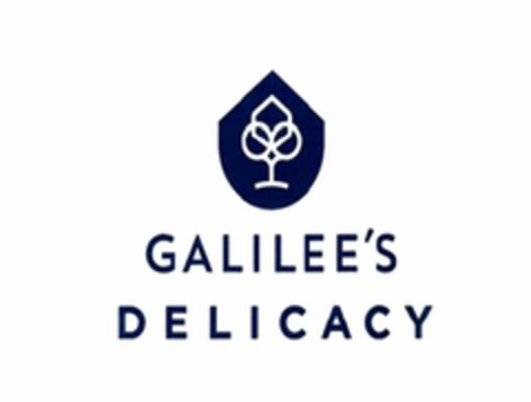 GALILEE`S DELICACY Logo (EUIPO, 05.02.2019)