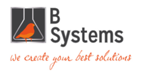 B Systems We create your best solutions Logo (EUIPO, 15.03.2019)