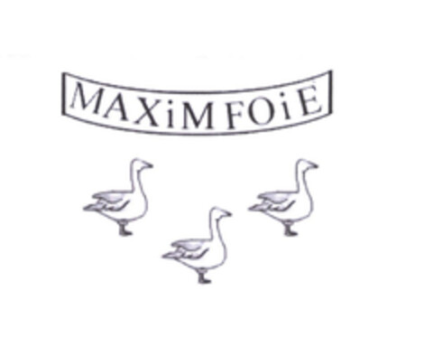 MAXiMFOiE Logo (EUIPO, 29.04.2004)