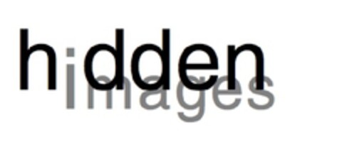 Hidden Images Logo (EUIPO, 23.11.2009)