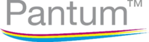 Pantum Logo (EUIPO, 08.02.2010)