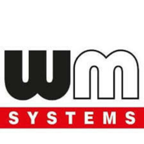 WM SYSTEMS Logo (EUIPO, 30.04.2020)