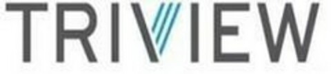 TRIVIEW Logo (EUIPO, 10/11/2022)