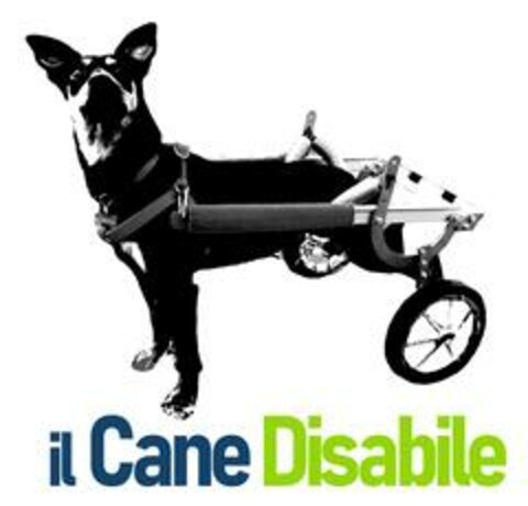 il Cane Disabile Logo (EUIPO, 03/15/2023)