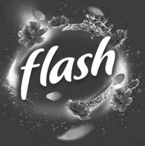 flash Logo (EUIPO, 07/21/2023)