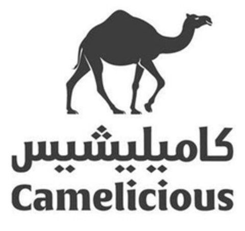 Camelicious Logo (EUIPO, 01/29/2024)