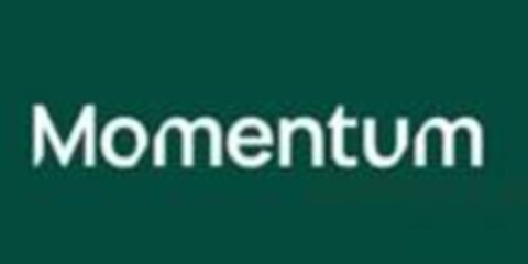 Momentum Logo (EUIPO, 27.06.2024)