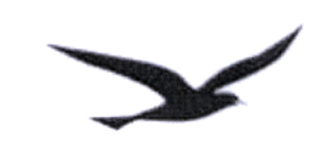  Logo (EUIPO, 29.01.2003)