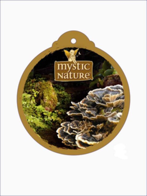 mystic Nature Logo (EUIPO, 27.06.2008)