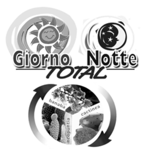 Giorno Notte TOTAL Logo (EUIPO, 23.01.2009)