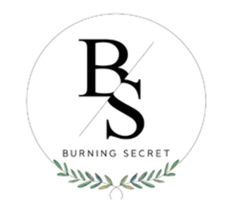BS BURNING SECRET Logo (EUIPO, 11.11.2016)