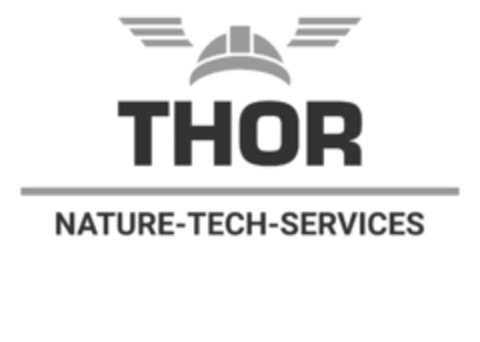 THOR NATURE-TECH-SERVICES Logo (EUIPO, 11.06.2020)
