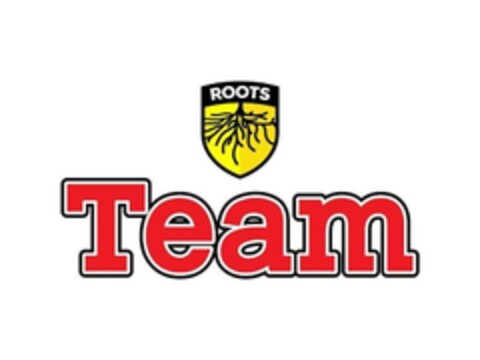 ROOTS TEAM Logo (EUIPO, 11.02.2021)