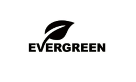 EVERGREEN Logo (EUIPO, 28.11.2023)