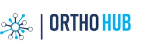 ORTHO HUB Logo (EUIPO, 02/01/2024)