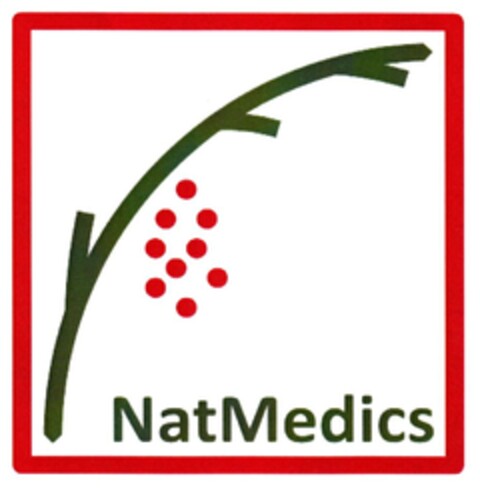 NatMedics Logo (EUIPO, 07.05.2024)