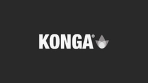 KONGA Logo (EUIPO, 19.06.2024)