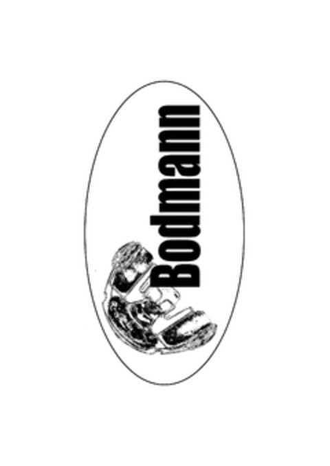 Bodmann Logo (EUIPO, 29.12.2009)