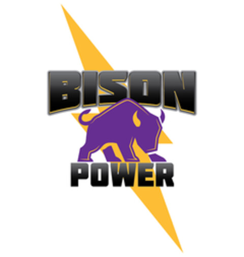 BISON POWER Logo (EUIPO, 20.10.2021)