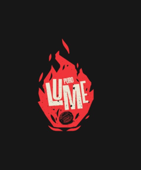 PURO LUME Logo (EUIPO, 22.11.2021)