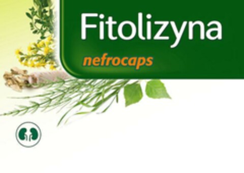 Fitolizyna Nefrocaps Logo (EUIPO, 15.12.2022)