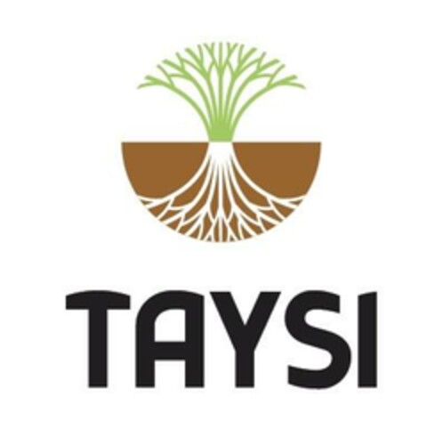 TAYSI Logo (EUIPO, 09.08.2023)