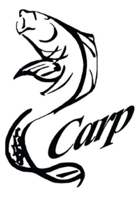 Carp Logo (EUIPO, 08/02/2024)