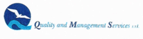 Quality and Management Services s.r.l. Logo (EUIPO, 05/17/2000)