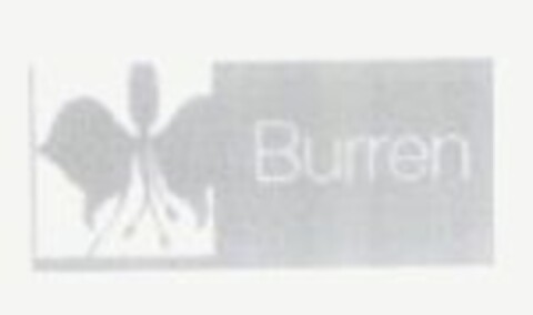 Burren Logo (EUIPO, 04/15/2008)